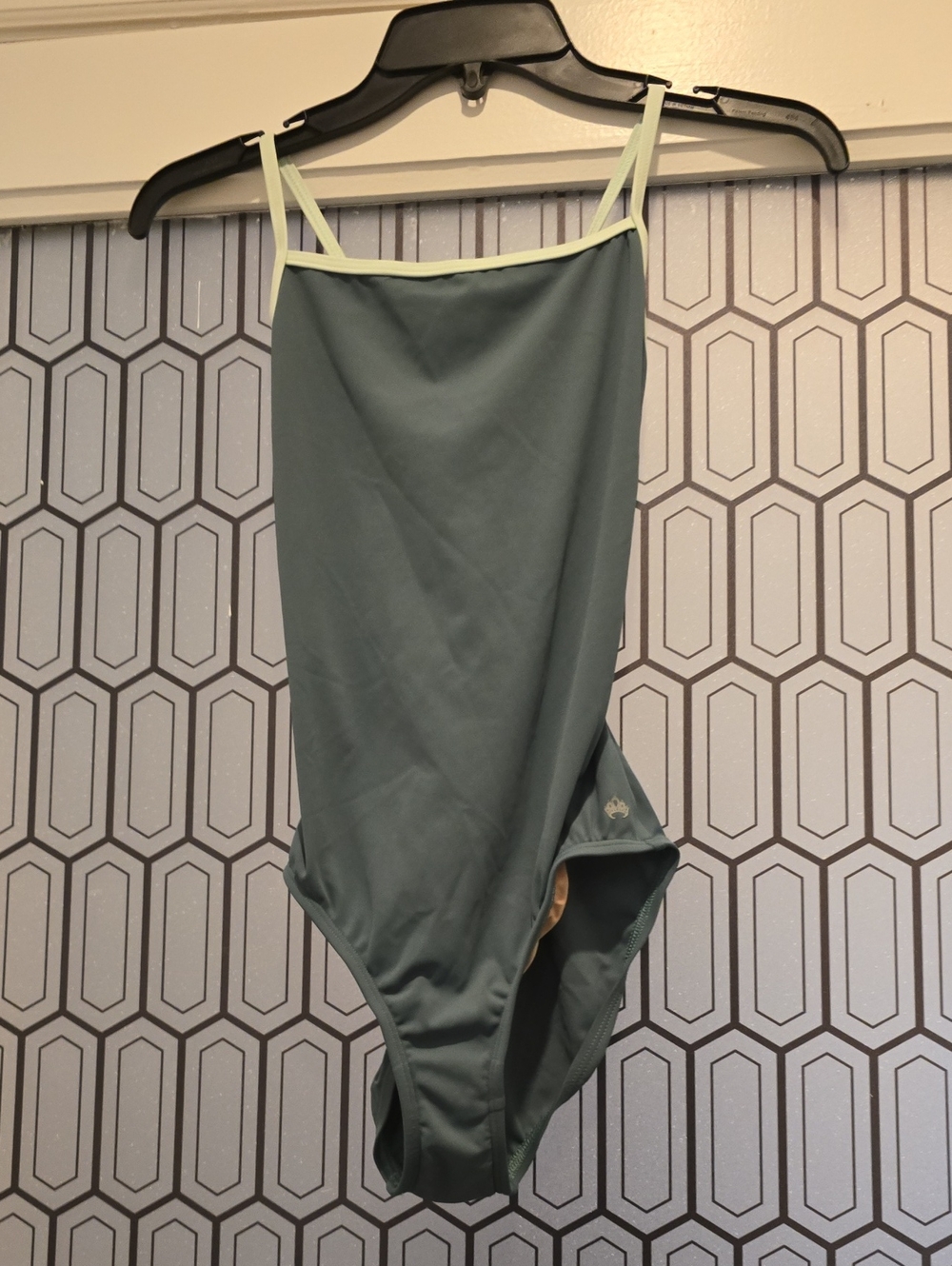 Sage Green Leotard with Light Lime Trim